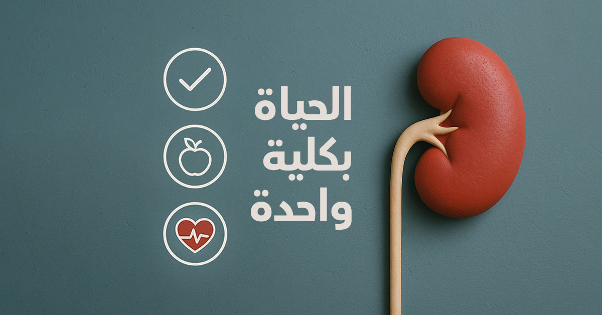 single-kidney-2.jpg