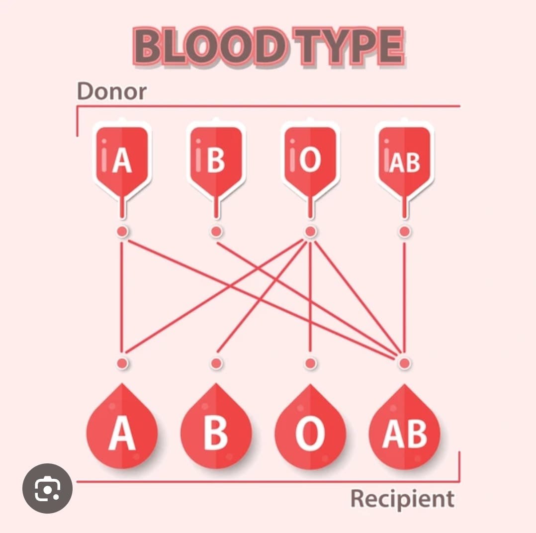 توافق فصائل الدم